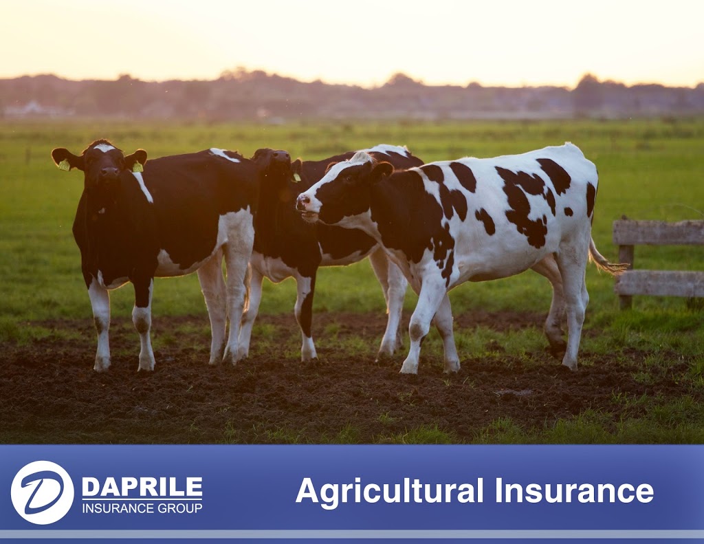 Daprile Insurance Group, LLC | 3050 Elm Rd NE #3, Warren, OH 44483, USA | Phone: (330) 395-5200