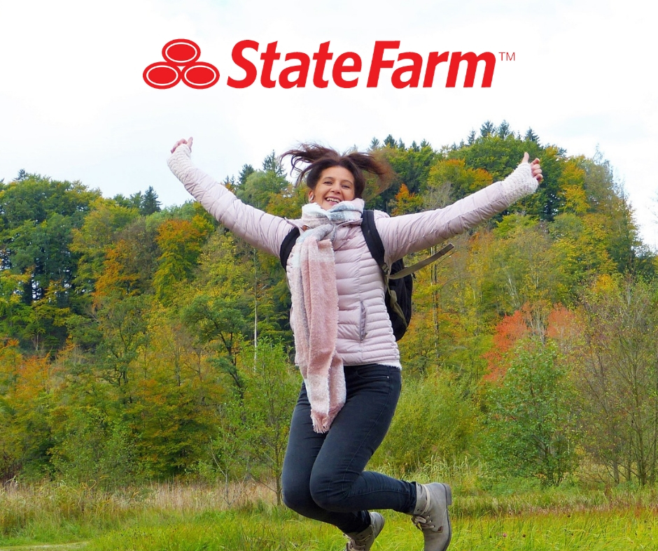 Wayne Swart - State Farm Insurance Agent | 19336 US-169, Elk River, MN 55330, USA | Phone: (763) 274-2000