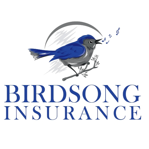 Birdsong Insurance | 13377 Pond Springs Rd #107A, Austin, TX 78729, USA | Phone: (512) 789-6644