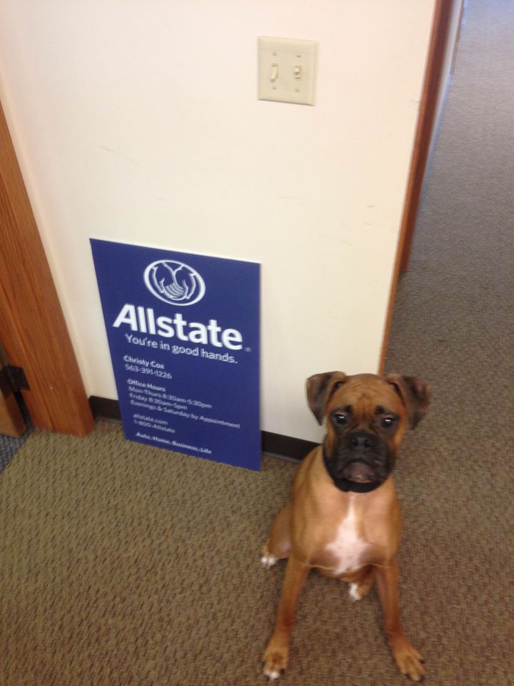 Christy Cox: Allstate Insurance | 1140 E Kimberly Rd Ste 200, Davenport, IA 52807, USA | Phone: (563) 391-1226