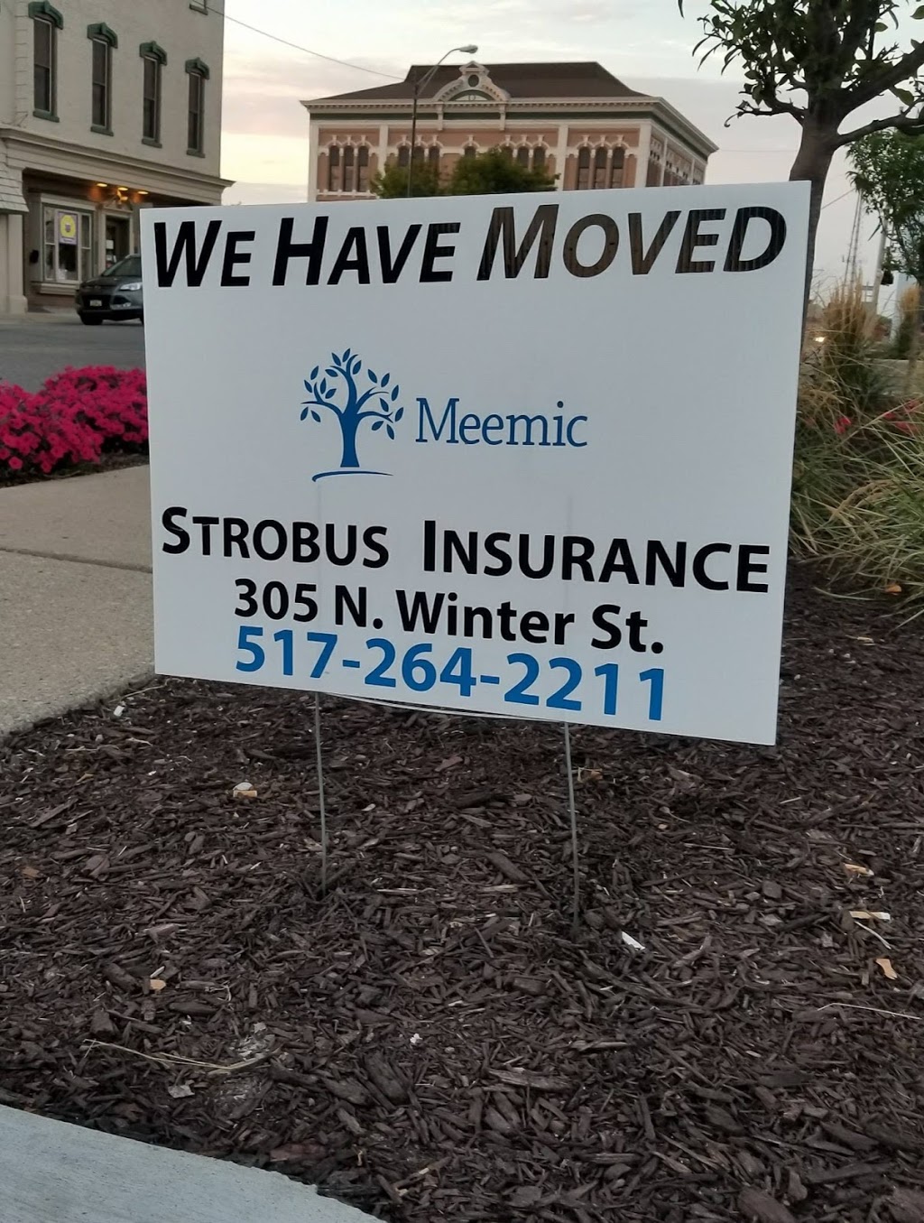 Strobus Insurance Agency | 305 N Winter St suite a, Adrian, MI 49221, USA | Phone: (517) 264-2211