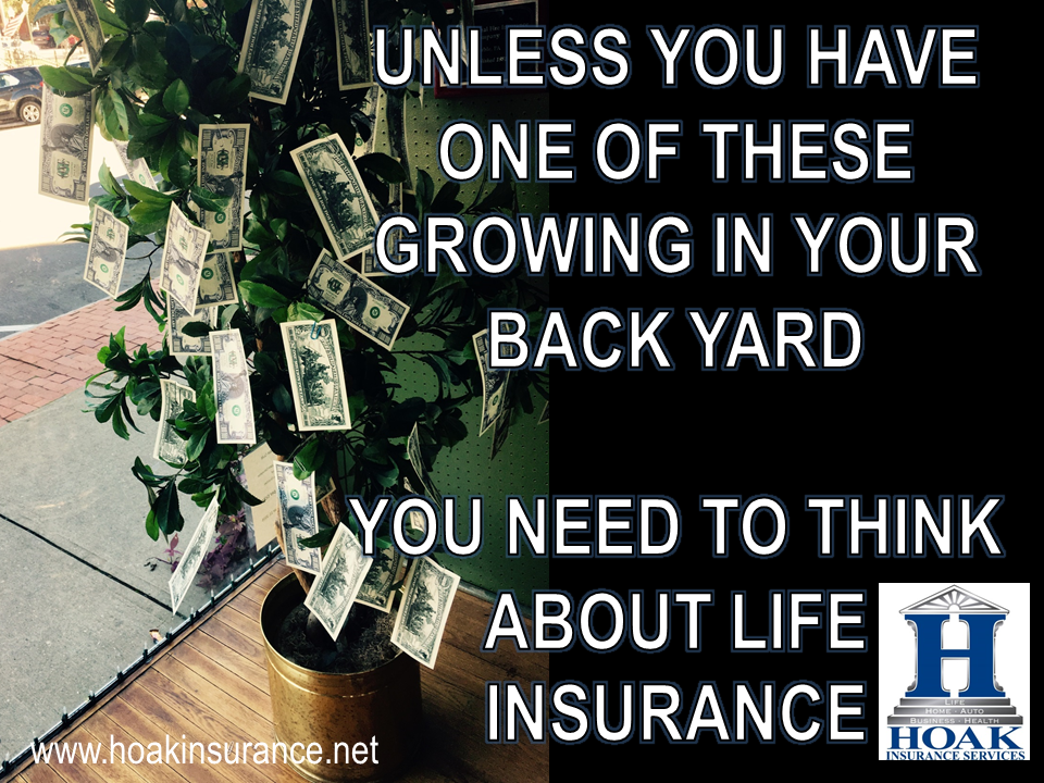 Hoak Insurance Services | 1200 Payne St, Louisville, KY 40204, USA | Phone: (502) 498-4440