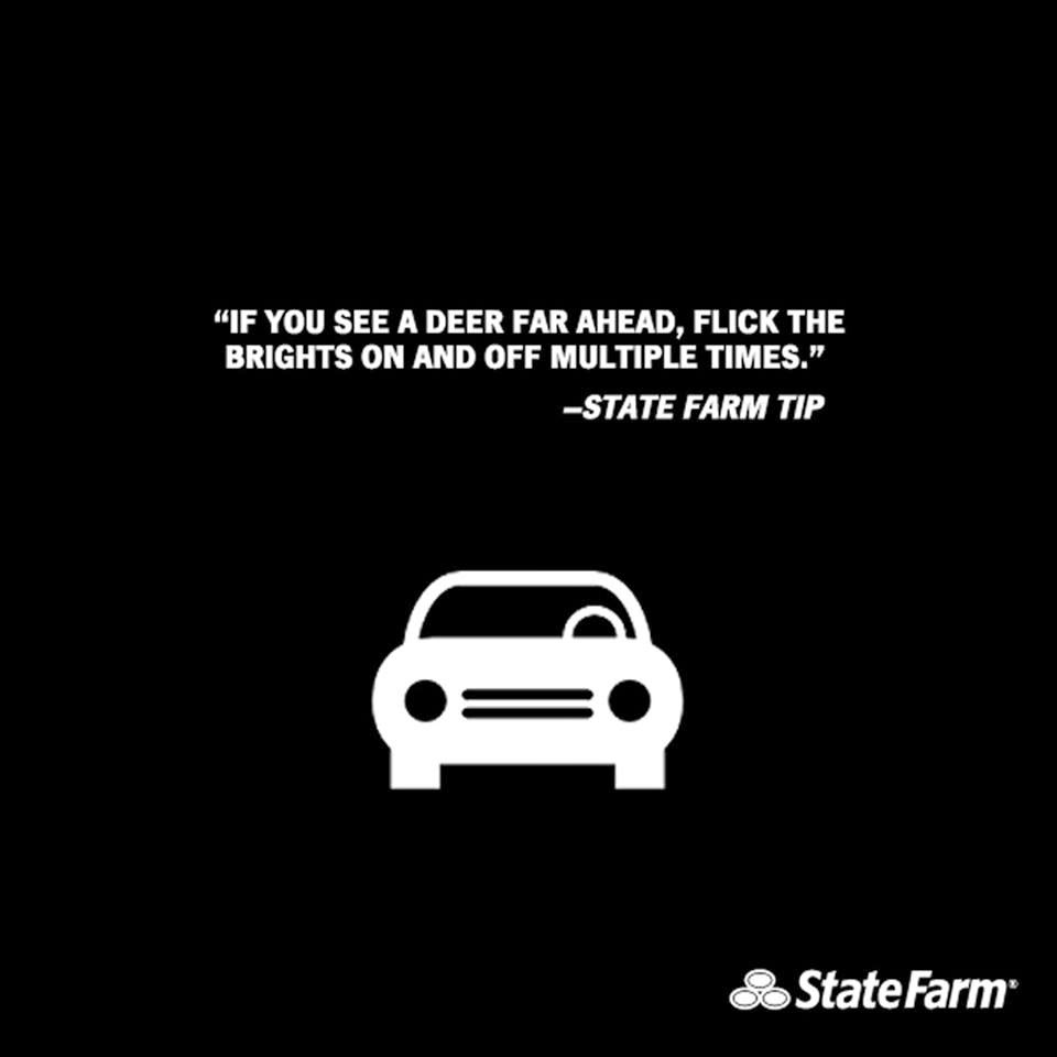 State Farm: Scott Berens | 306 S Chapel St, Louisville, OH 44641, USA | Phone: (330) 875-4555