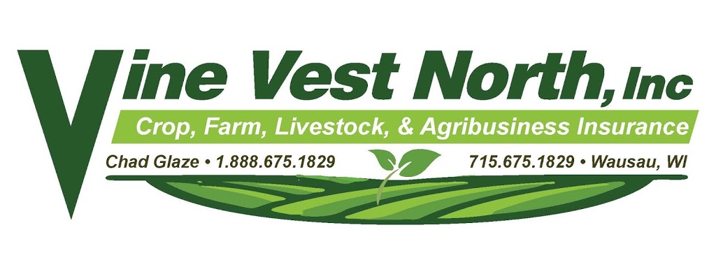 Vine Vest North | 1124 Merrill Ave, Wausau, WI 54401, USA | Phone: (715) 675-1829