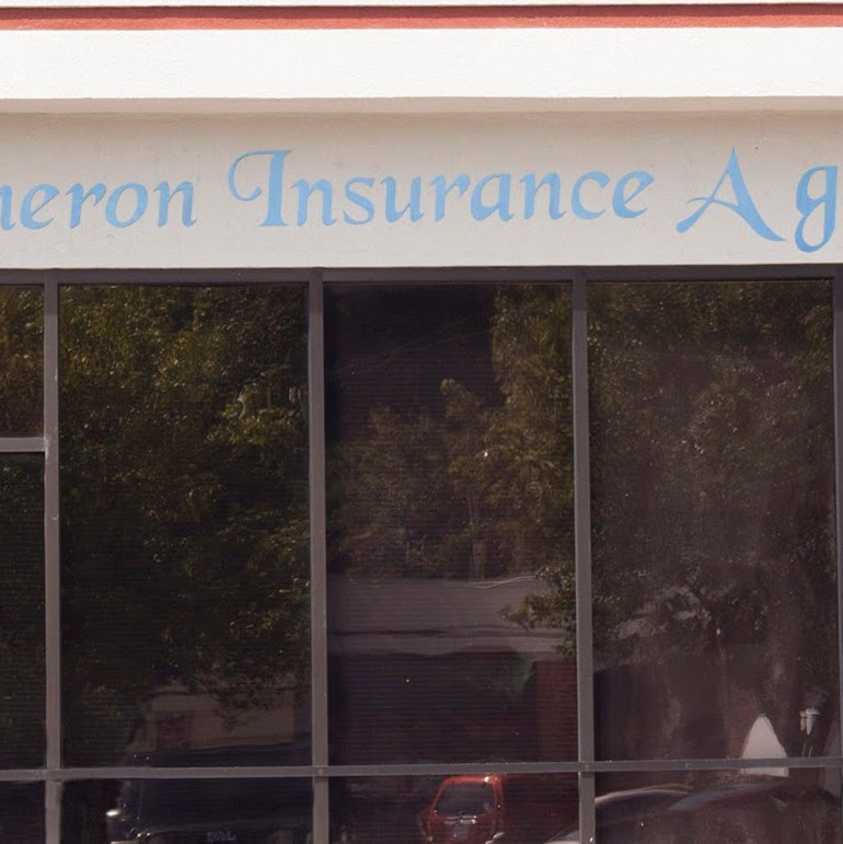 Cameron Insurance Agency | 2908 Tazewell Pike g, Knoxville, TN 37918, USA | Phone: (865) 687-8142