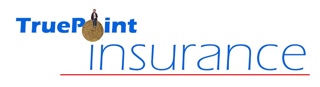 TruePoint Insurance | 1085 Eagle Lake Dr, Lawrenceburg, KY 40342, USA | Phone: (502) 410-5089