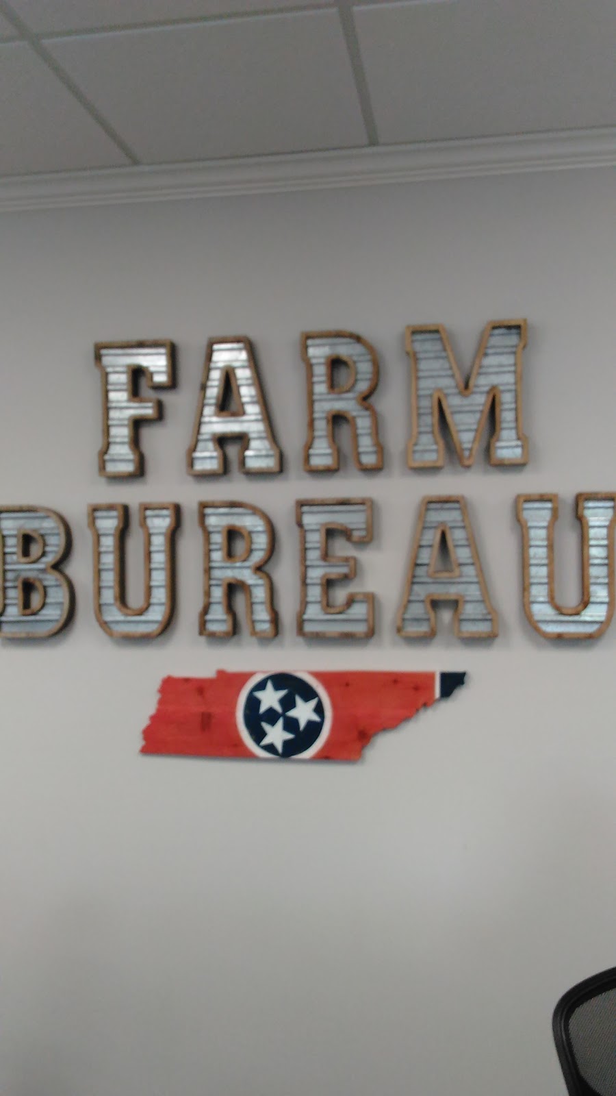 Farm Bureau Insurance | 1145 W College St, Pulaski, TN 38478, USA | Phone: (931) 363-1505