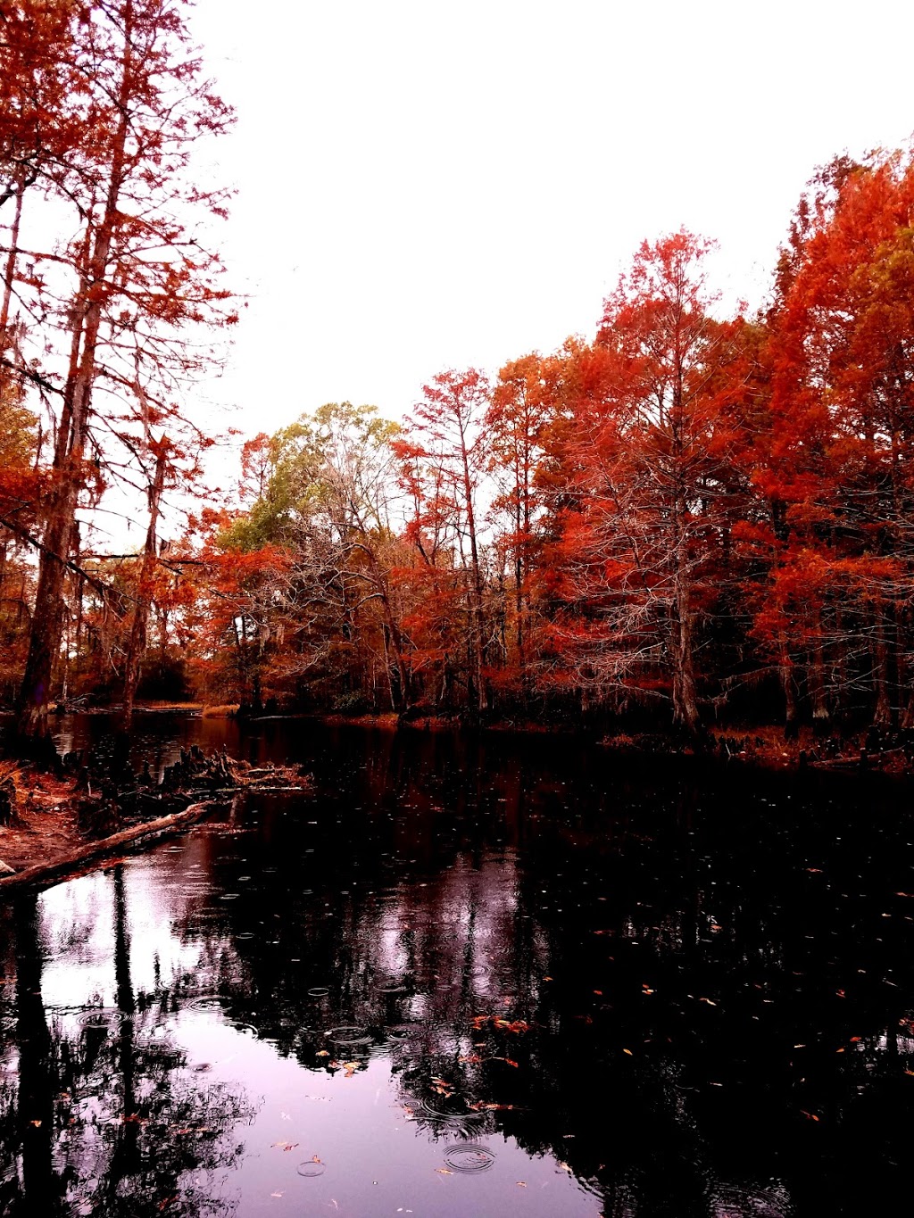 Singletary Bridge | Lumberton, NC 28358, USA