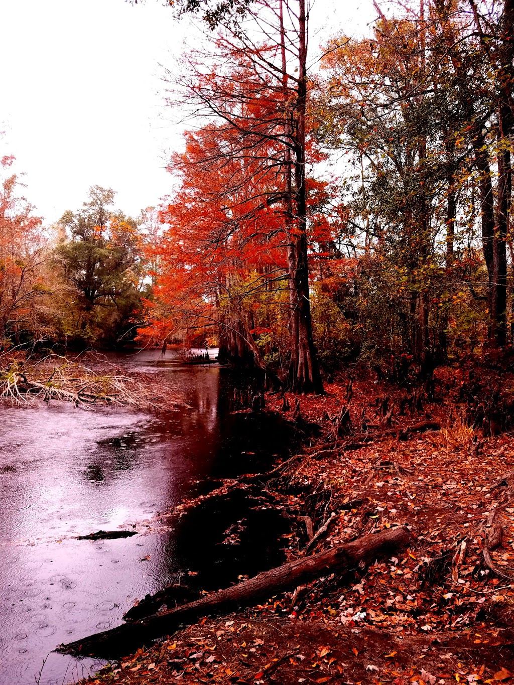 Singletary Bridge | Lumberton, NC 28358, USA