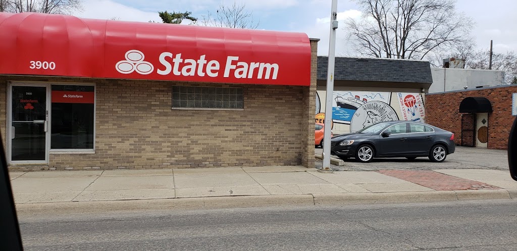 Roman Stadnyk - State Farm Insurance Agent | 3900 W 12 Mile Rd, Berkley, MI 48072, USA | Phone: (248) 399-1115