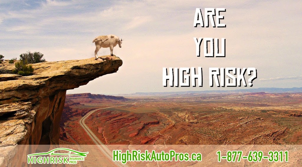 High Risk Auto Pros | 835 Harrington Ct, Burlington, ON L7N 3P3, Canada | Phone: (877) 639-3311