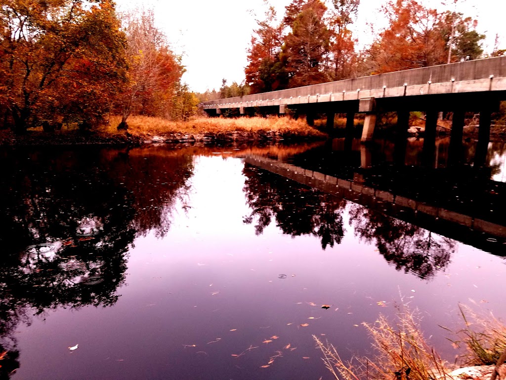 Singletary Bridge | Lumberton, NC 28358, USA