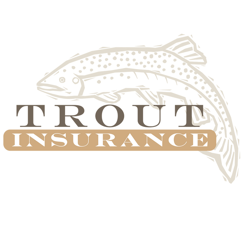 Trout Insurance Services | 29 N Main St, Weaverville, NC 28787, USA | Phone: (828) 279-4681