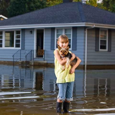 All American Public Adjusters Inc | 44 Raleigh Dr, Palm Coast, FL 32164, USA | Phone: (866) 550-2524