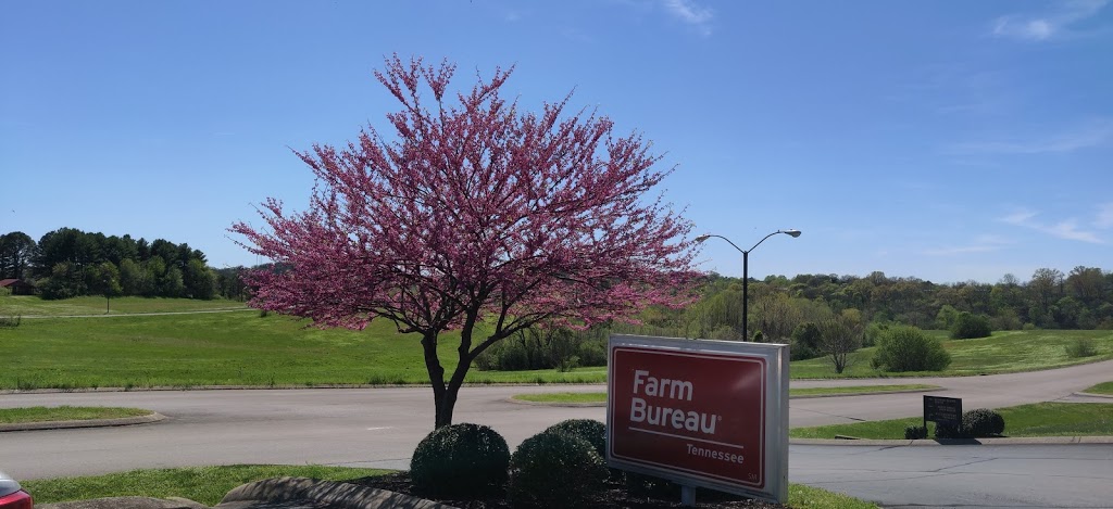 Farm Bureau Insurance | 181 Theta Pike, Columbia, TN 38401, USA | Phone: (931) 388-6377