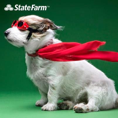 State Farm Insurance Agent: Todd MacDonald | 4758 Main St, Lisle, IL 60532, USA | Phone: (630) 625-8457