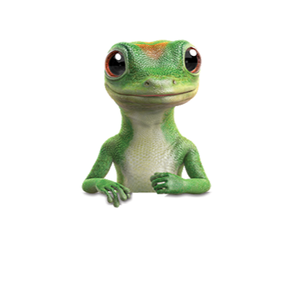 Geico Insurance | 1717 Chicago Ave #264, Riverside, CA 92507, USA | Phone: (364) 888-6822