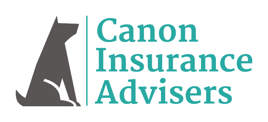 Canon Insurance Advisers LLC | 300 Dividend Dr, Peachtree City, GA 30269, USA | Phone: (404) 246-1150