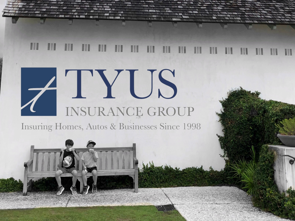 Tyus Insurance Group | 314 W Main St, Manchester, GA 31816, USA | Phone: (706) 846-2148