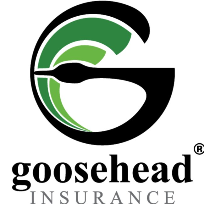 Goosehead Insurance - Paul Seguin | 199 N Main St Suite 104, Plymouth, MI 48170, USA | Phone: (734) 606-0777