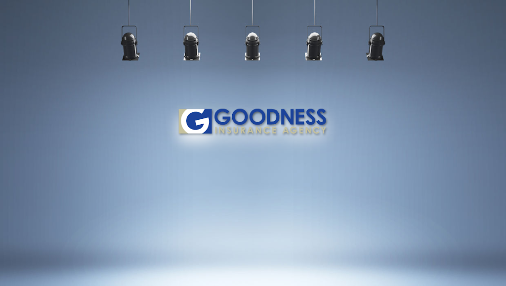 Goodness Insurance | 2312 N Grandview Blvd #206, Waukesha, WI 53188, USA | Phone: (262) 547-7965