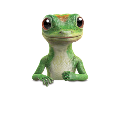 Geico Insurance | Atlanta, GA, USA | Phone: (484) 303-3259