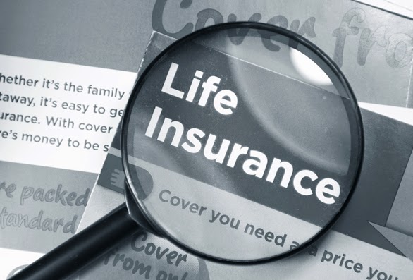 Life Insurance Michigan | 42705 Grand River Ave Ste 201, Novi, MI 48375, USA | Phone: (248) 537-4011