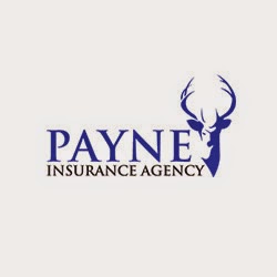 Payne Insurance Agency | 280 S Main St, Ellijay, GA 30540, USA | Phone: (706) 635-7555