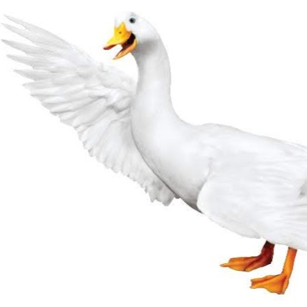 AFLAC independent Agent Gary Rahn | 107 Jefferson St, Schuylkill Haven, PA 17972, USA | Phone: (717) 817-3478