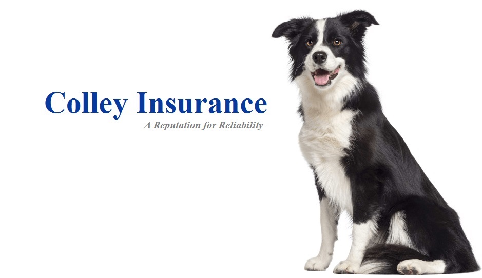 Colley Insurance | 1-34 Harvard Rd, Guelph, ON N1G 4V8, Canada | Phone: (519) 824-4040