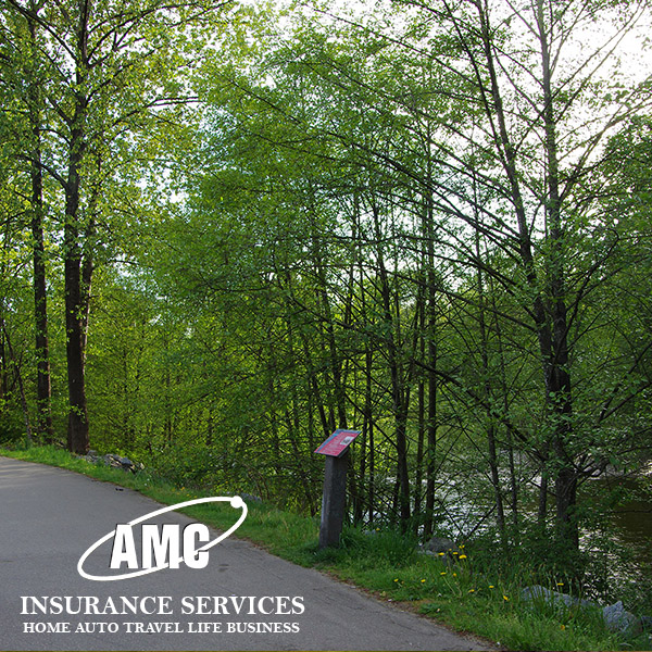 AMC Insurance | 552 Clarke Rd #404, Coquitlam, BC V3J 0A3, Canada | Phone: (604) 359-6213