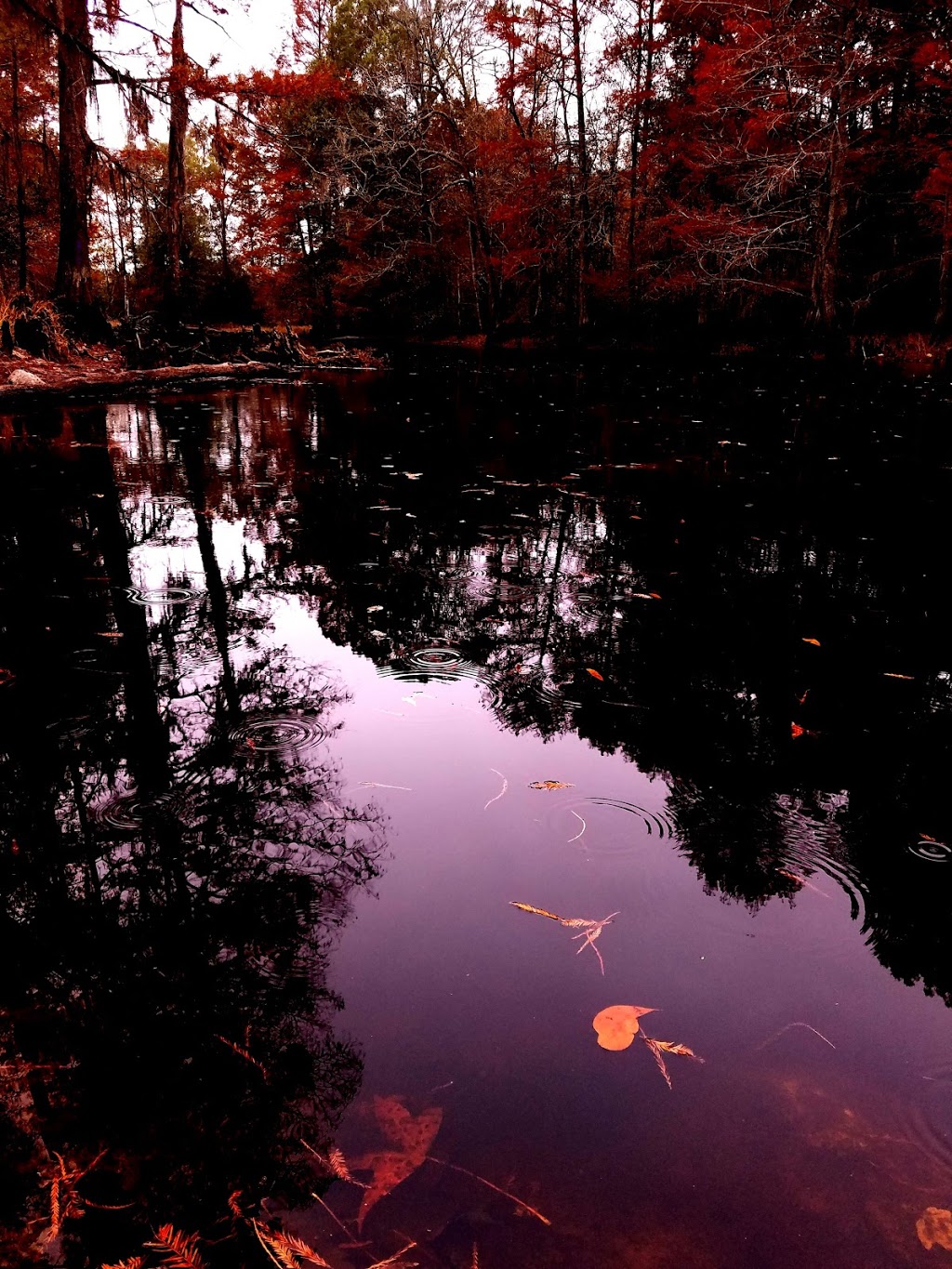 Singletary Bridge | Lumberton, NC 28358, USA