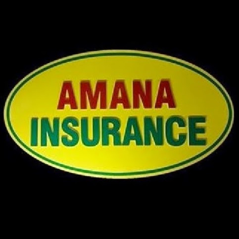 Amana Insurance Agency | 1029 Main St, Paterson, NJ 07503, USA | Phone: (973) 955-4100