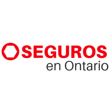 Seguros en Ontario | 165 Hampshire Way, Milton, ON L9T 8M7, Canada | Phone: (647) 688-5068