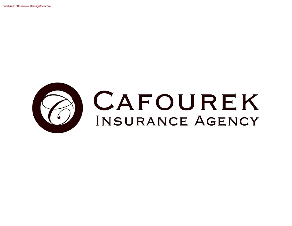 Cafourek Insurance Agency | 709 Wilson St, Albert Lea, MN 56007, USA | Phone: (507) 377-8904