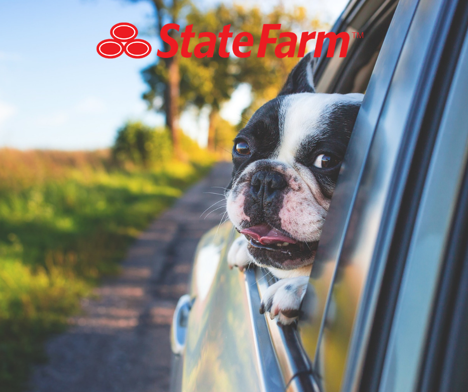 Wayne Swart - State Farm Insurance Agent | 19336 US-169, Elk River, MN 55330, USA | Phone: (763) 274-2000