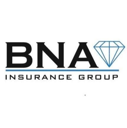 BNA Insurance Group | 219 N 1st St, Pulaski, TN 38478, USA | Phone: (931) 292-6300