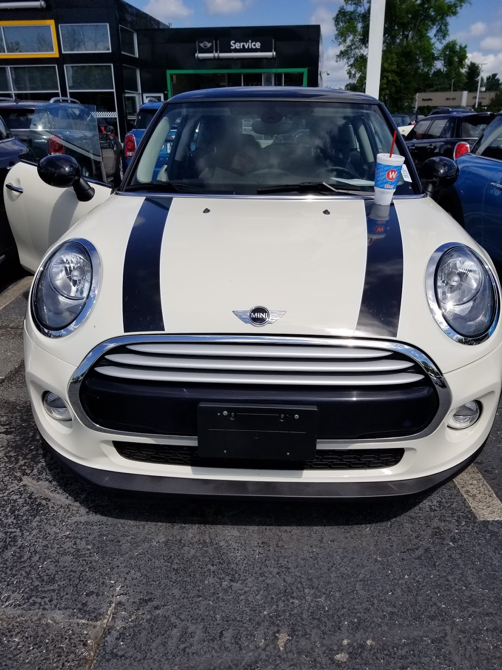 Mini of Knoxville | 10665 Parkside Dr, Knoxville, TN 37922, USA | Phone: (865) 693-4553