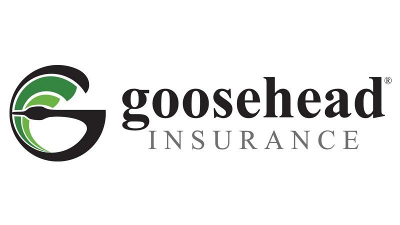 Goosehead Insurance - Toby Brooks | 1920 N Main St #102, Belton, TX 76513, USA | Phone: (254) 231-0402