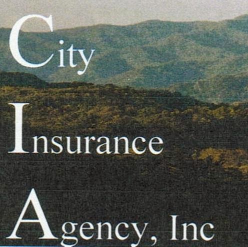 City Insurance Agency, Inc | 100 Logan St, Williamson, WV 25661, USA | Phone: (304) 235-2100