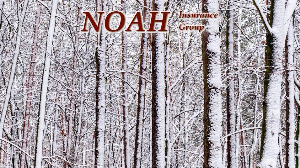 Noah Insurance Group | 1446 2nd Ave, Cumberland, WI 54829, USA | Phone: (715) 822-3355