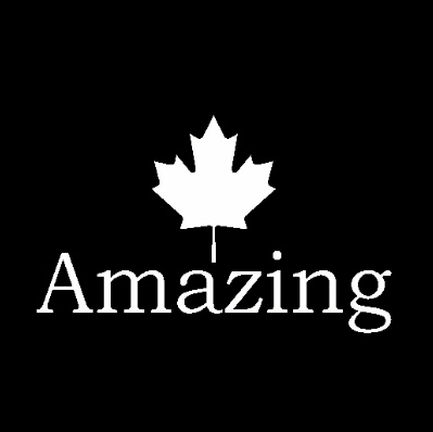 Amazing Flooring | 72 Devon Rd, Brampton, ON L6T 5A4, Canada | Phone: (905) 458-8000