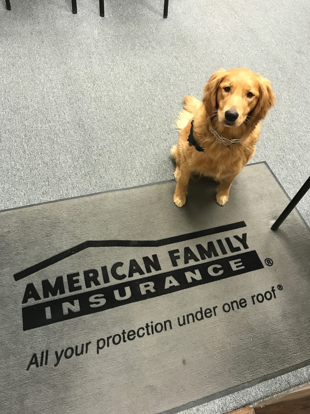 American Family Insurance - Brenda Holzer | 3356 Kimball Ave #2, Waterloo, IA 50702, USA | Phone: (319) 233-1555