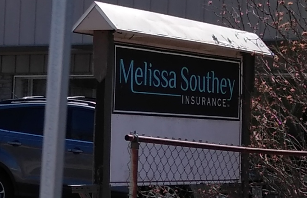 Melissa Southey Insurance | 7015 Angola Rd, Holland, OH 43528, USA | Phone: (419) 491-0267