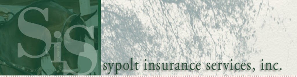 Sypolt Insurance Services Inc | 11344 Coloma Rd Route 635, Gold River, CA 95670, USA | Phone: (800) 995-4770