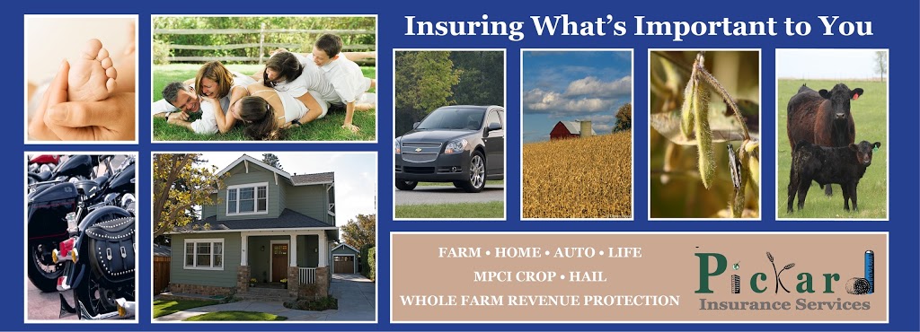 Pickard Insurance Services | 95 Caspian Ave, Volga, SD 57071, USA | Phone: (605) 627-5127