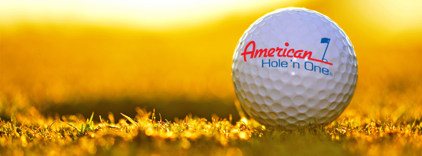 American Hole n One | 55 Scott St #3056, Buford, GA 30518, USA | Phone: (800) 822-2257