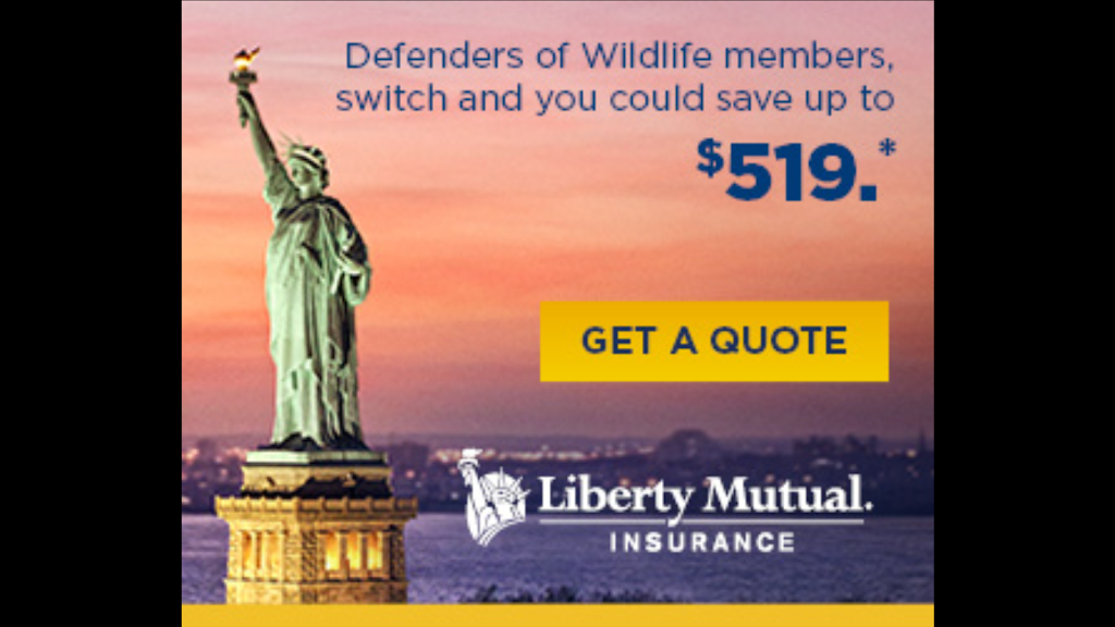 Liberty Mutual Insurance, Ira and Igor Slobodyany insurance brok | 5301 Madison Ave suite # 204, Sacramento, CA 95841, USA | Phone: (916) 970-3000