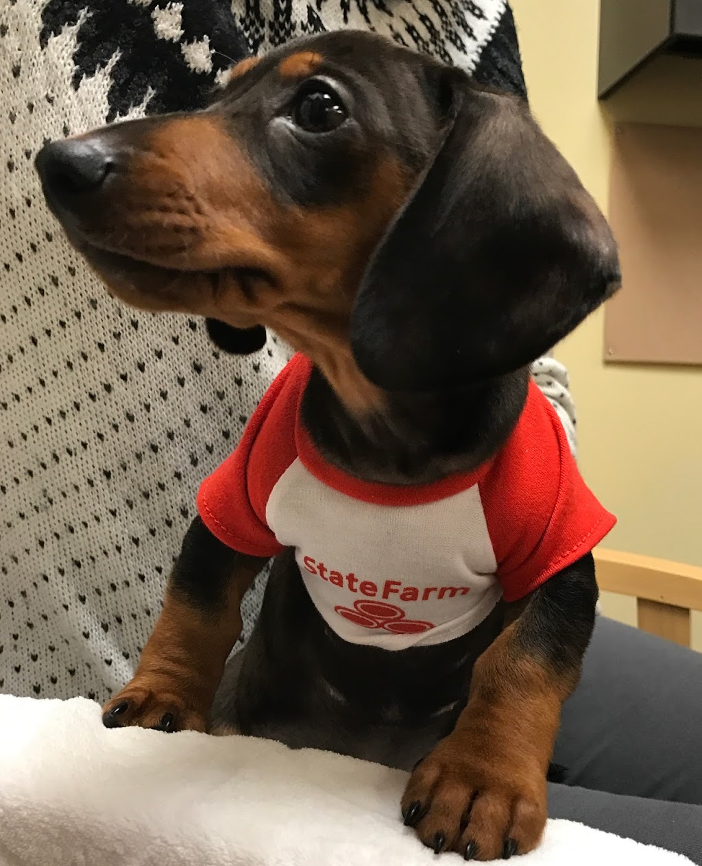 Jean Stewart-Wertz - State Farm Insurance Agent | 8961 Columbia Rd, Loveland, OH 45140, USA | Phone: (513) 683-5404
