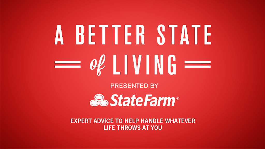 Dave Holland - State Farm Insurance Agent | 7925 Jones Branch Drive Ste LL300, McLean, VA 22102, USA | Phone: (703) 845-3700